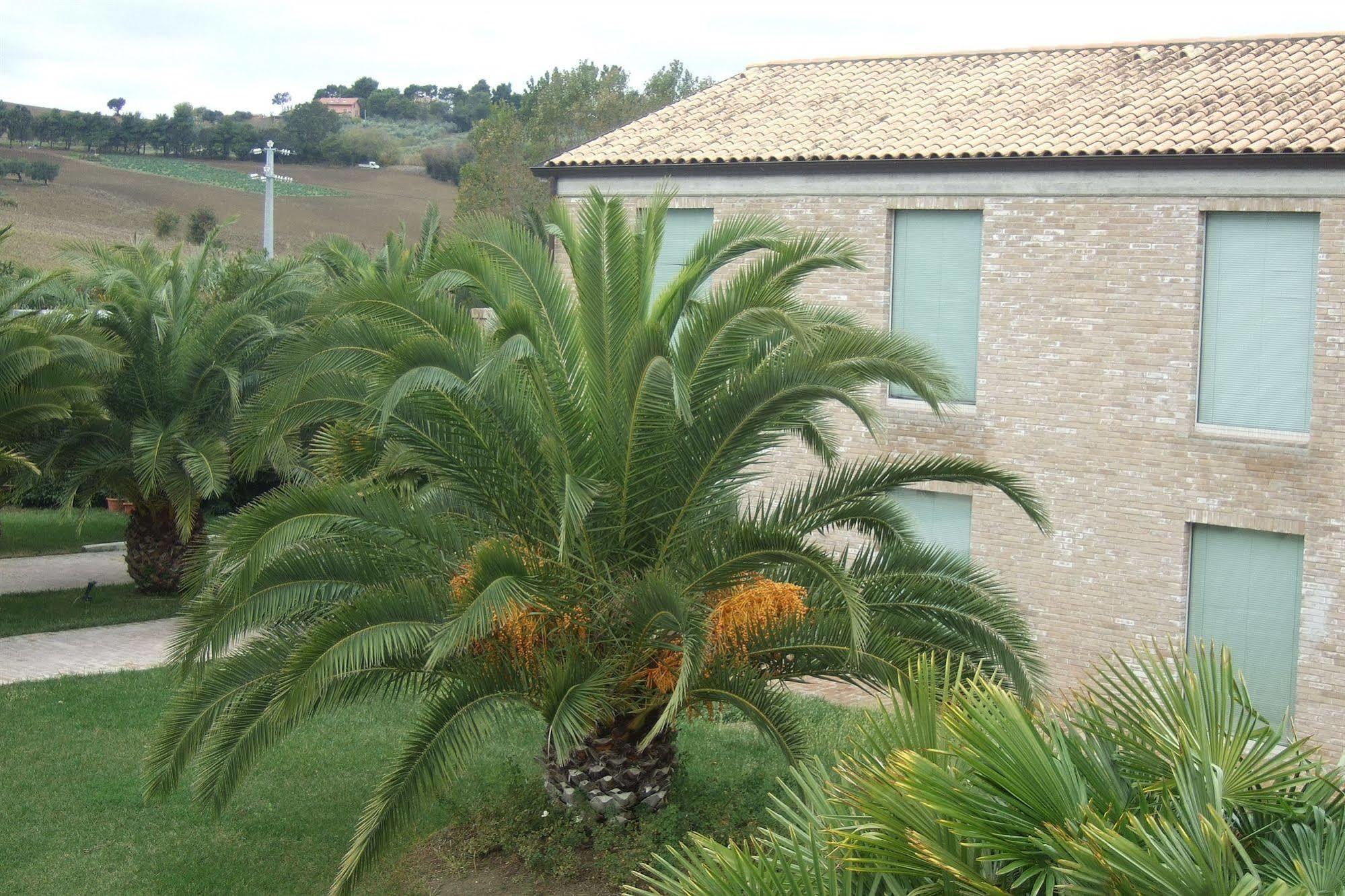 Finis Africae Hotel Senigallia Exterior foto