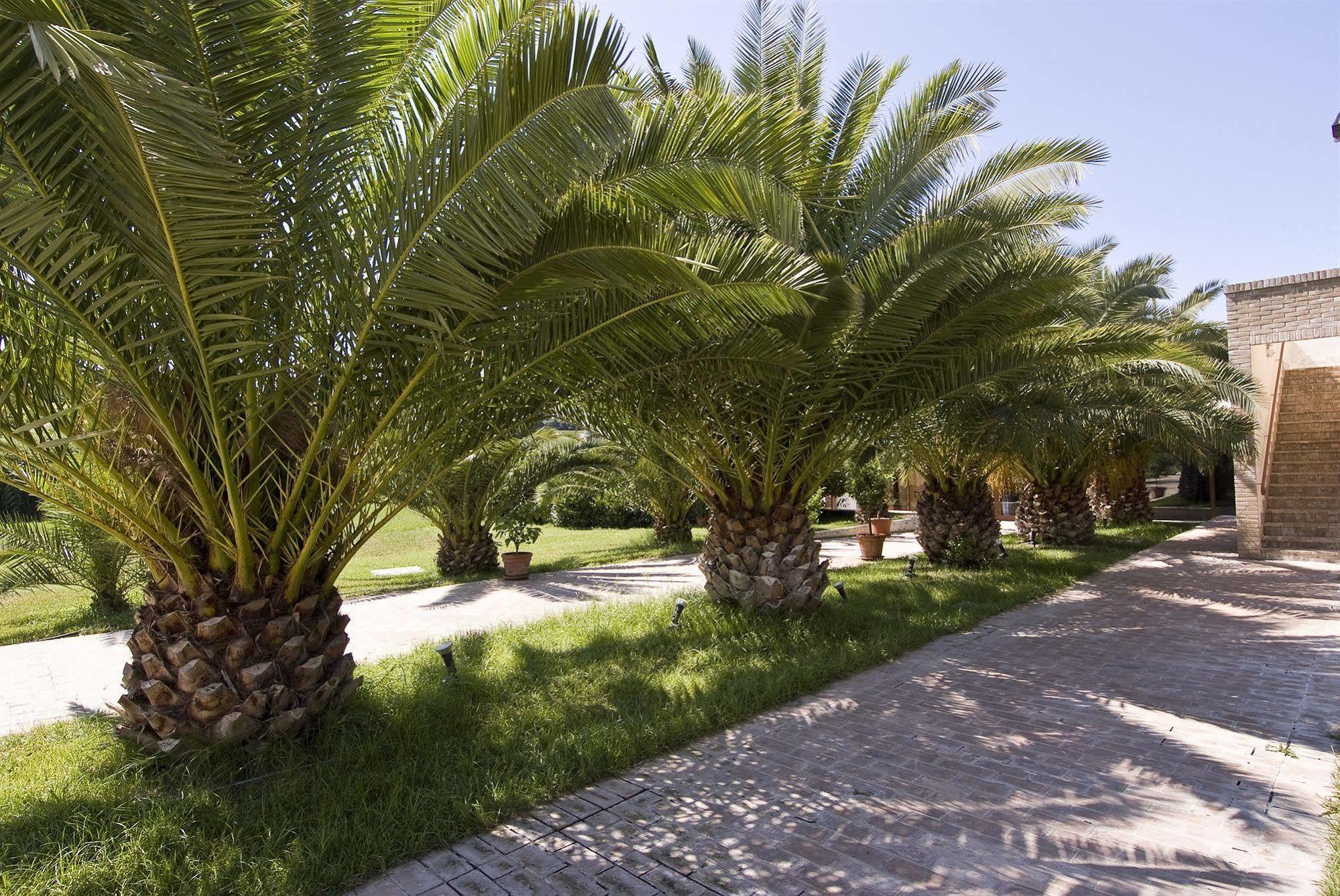 Finis Africae Hotel Senigallia Exterior foto